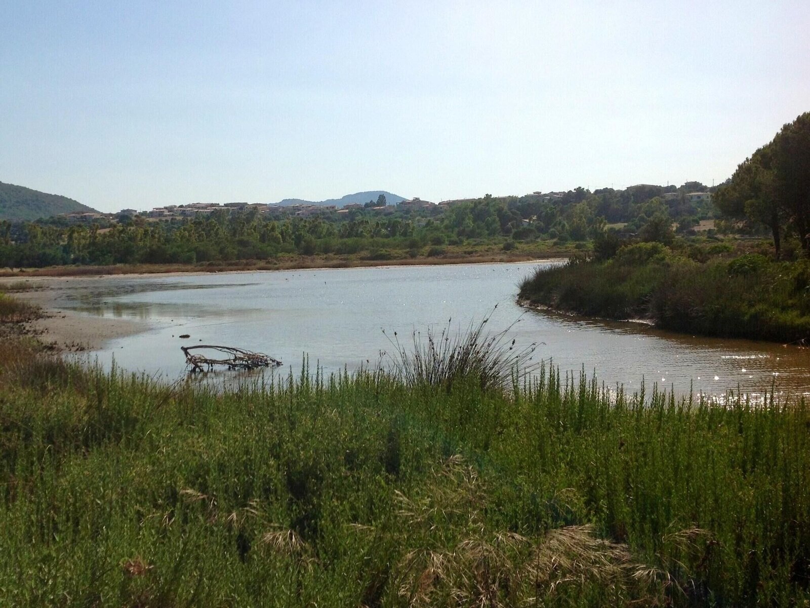 Landschaft