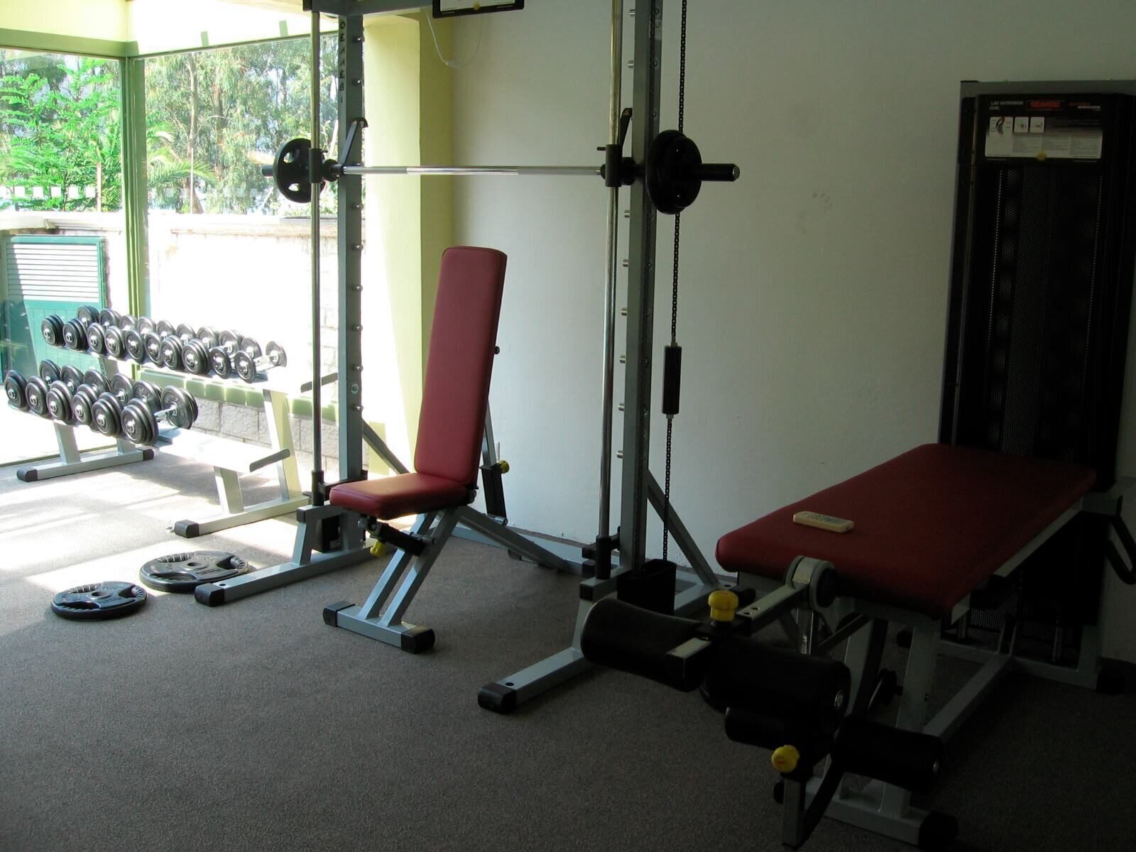 Sport