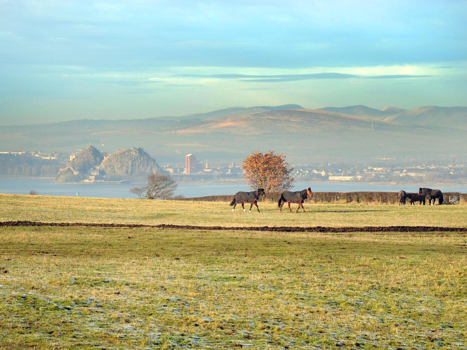 Landschaft