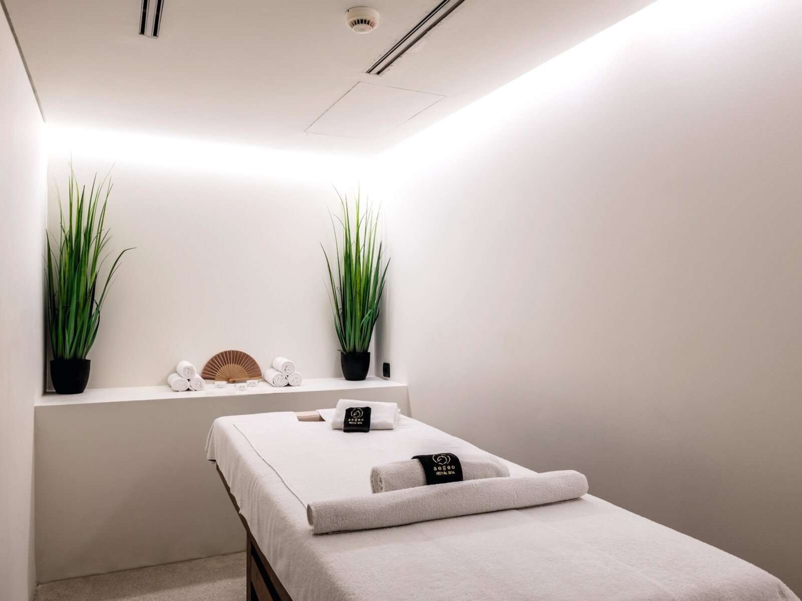 Wellness