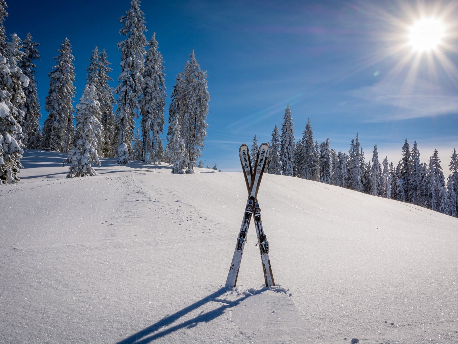 Wintersport