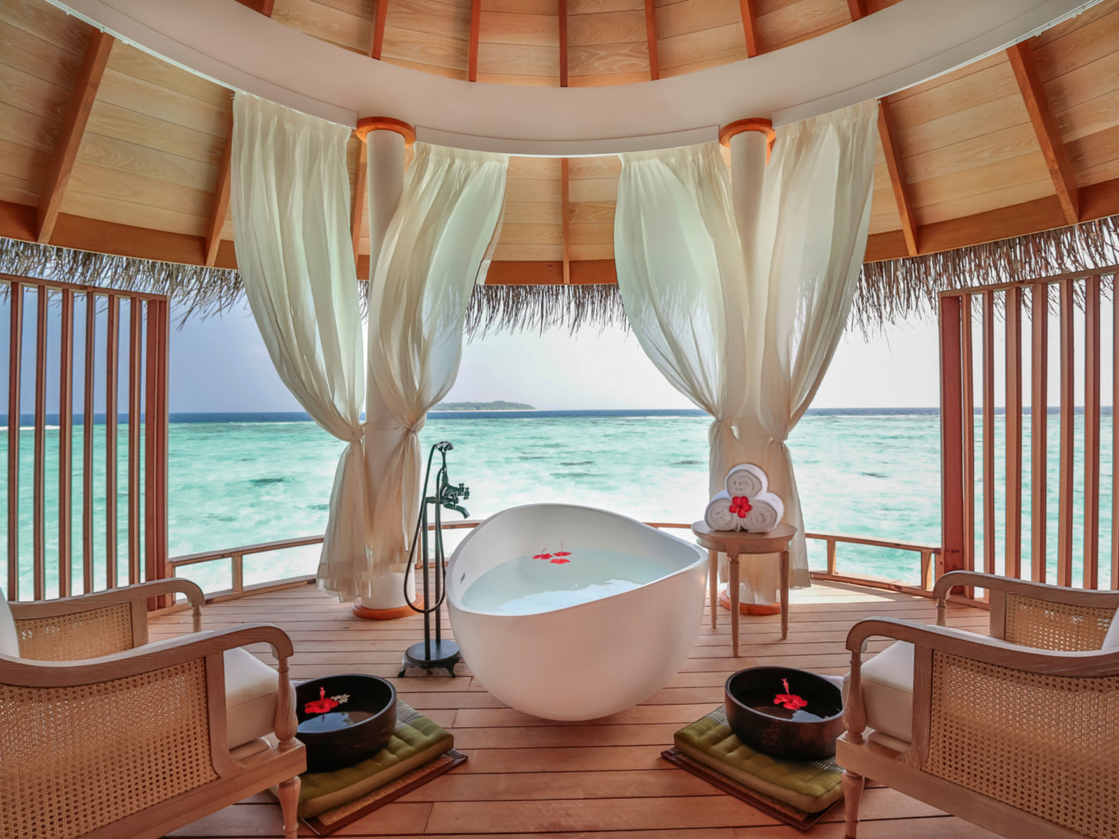 Wellness