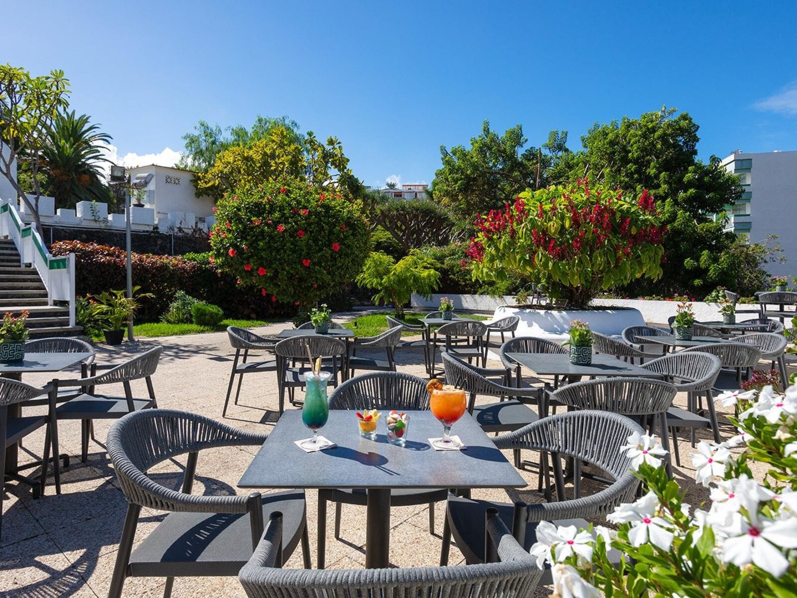 Terrace Eden