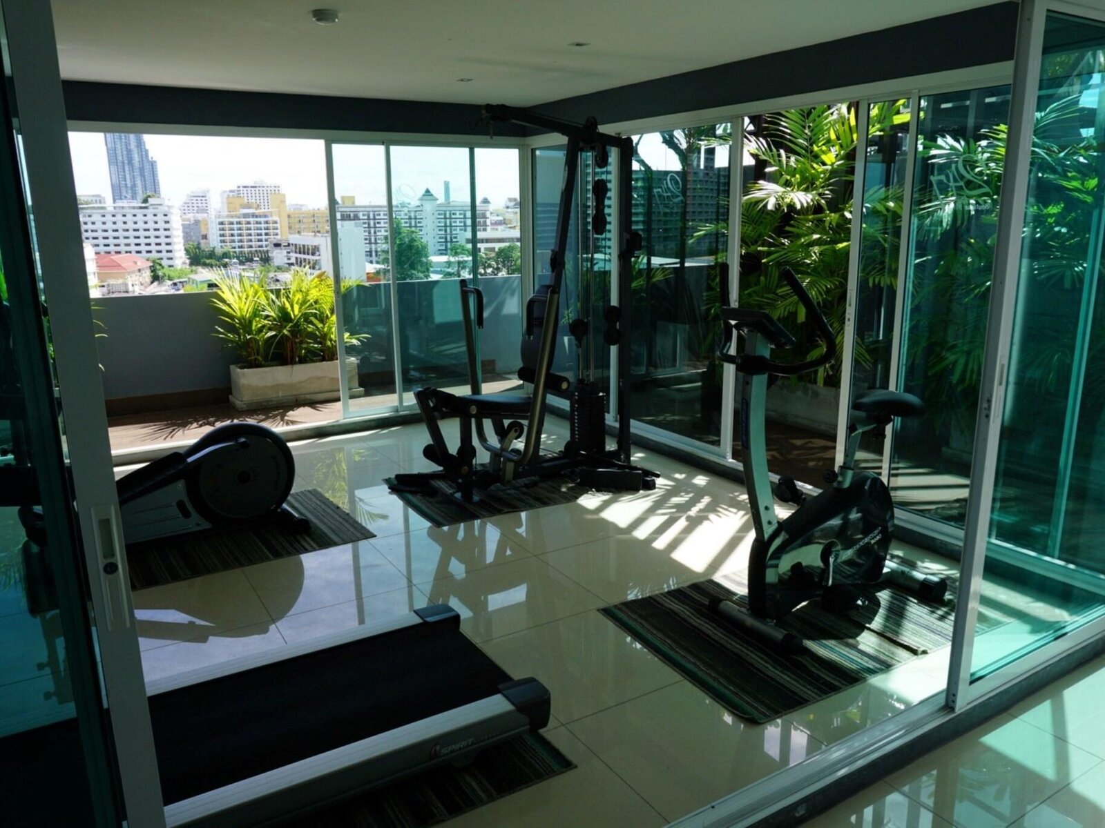 Sport