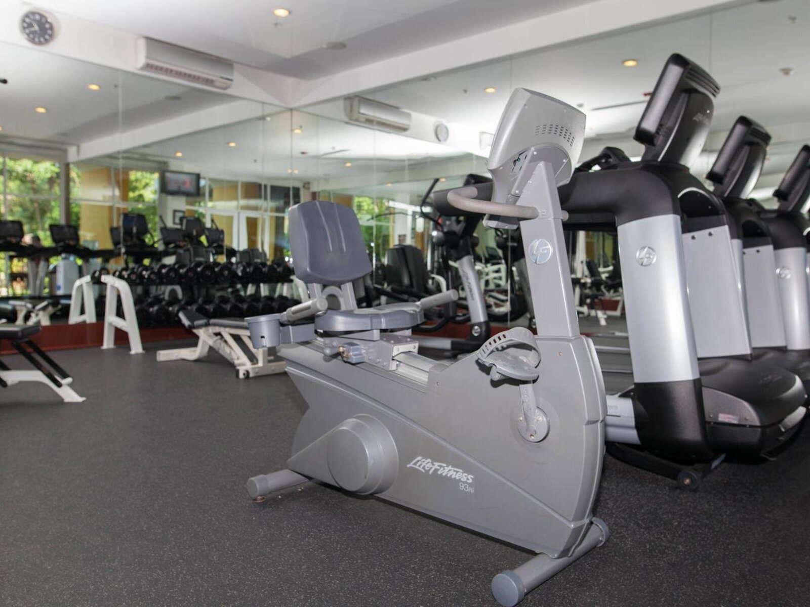 Sport