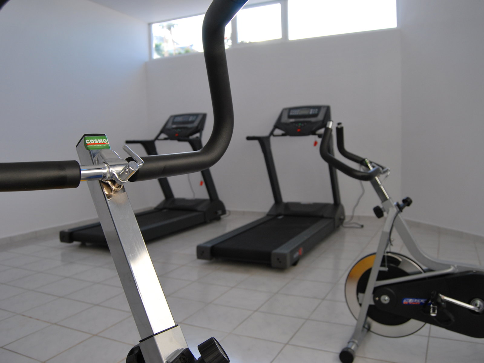 Sport