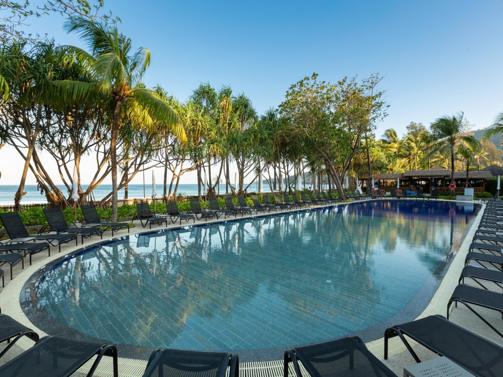 Swimming Pool Beach Wing