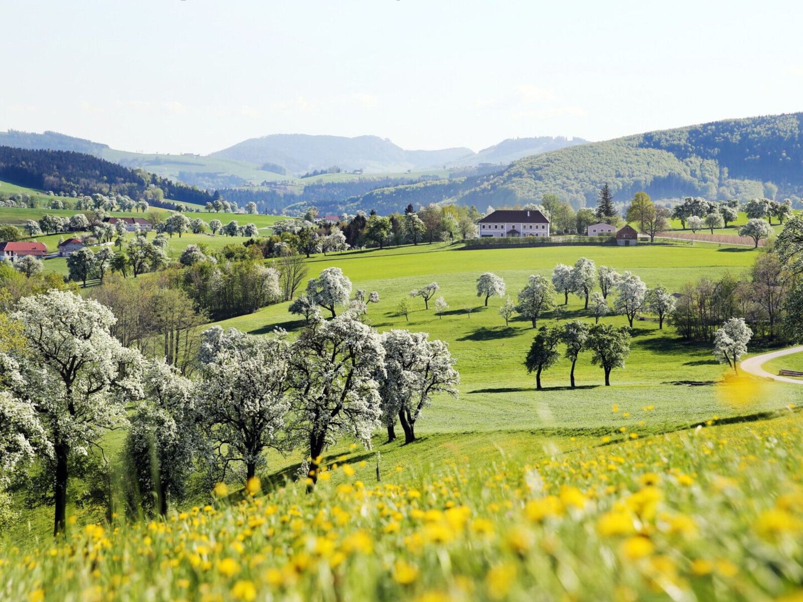 Landschaft