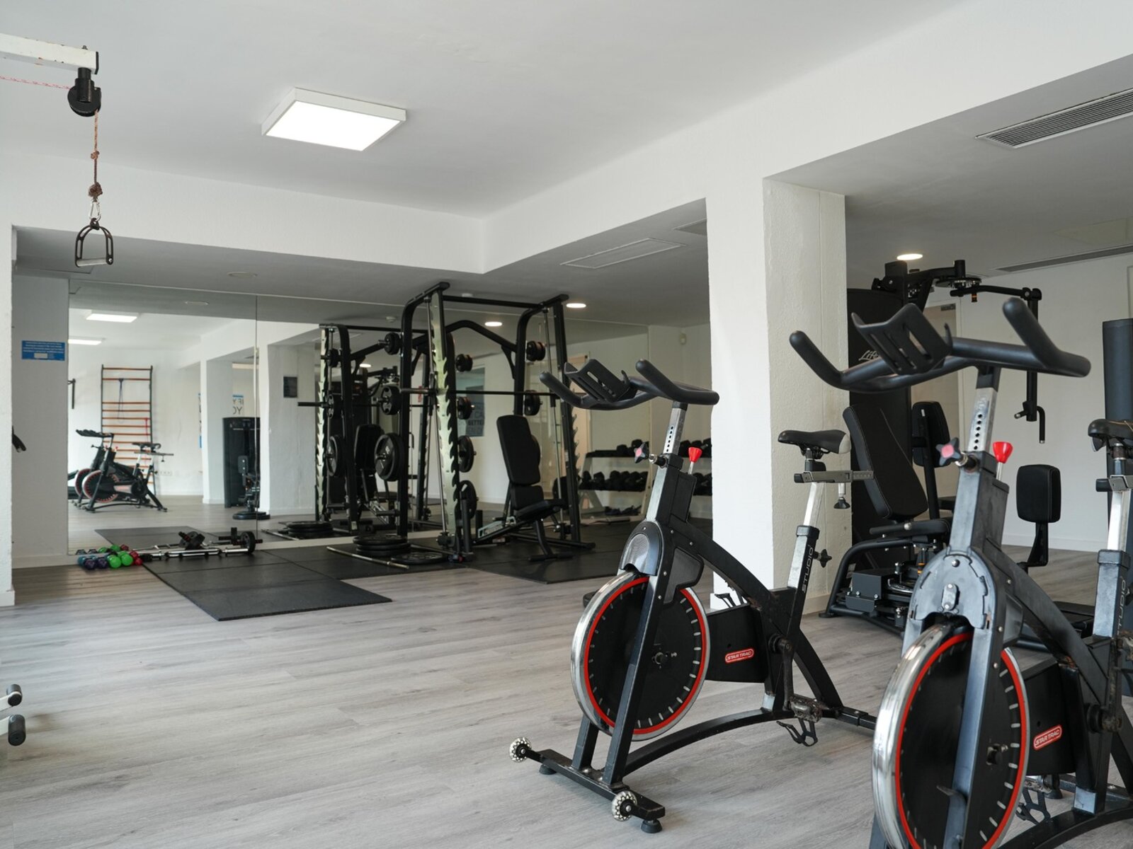 Sport
