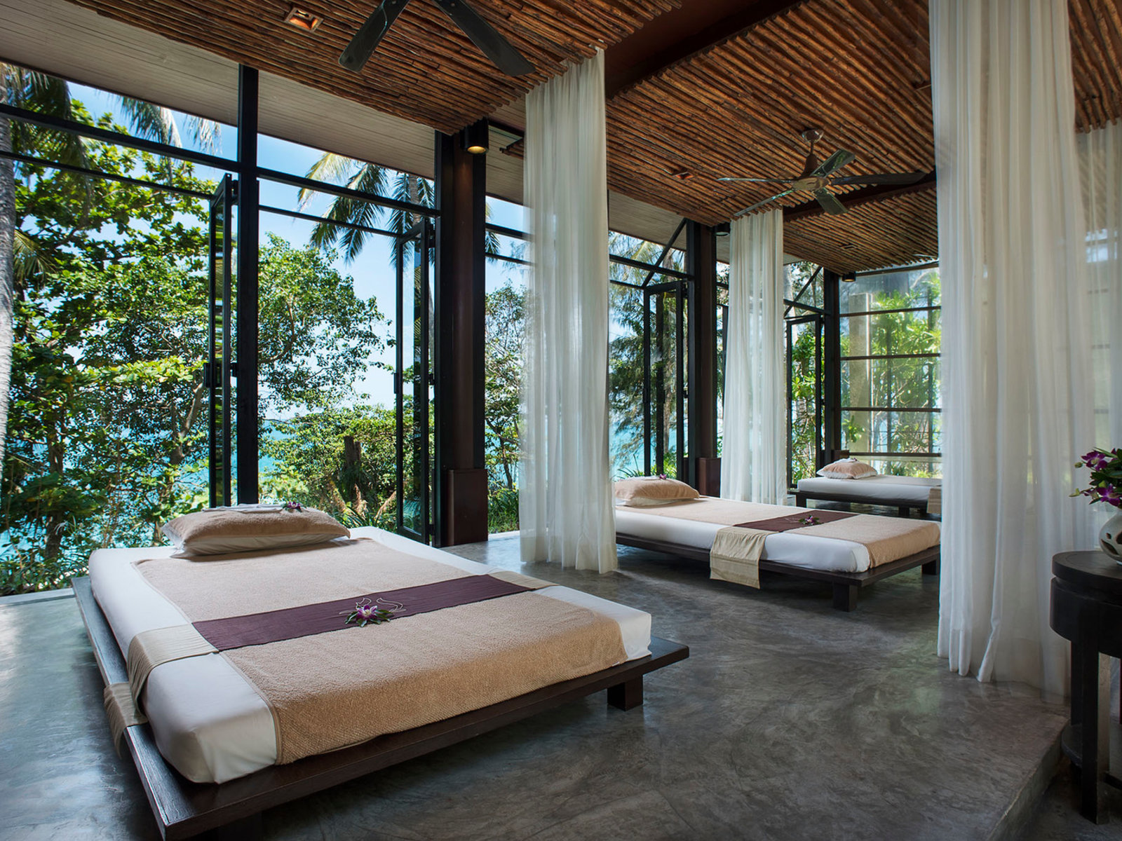 Wellness