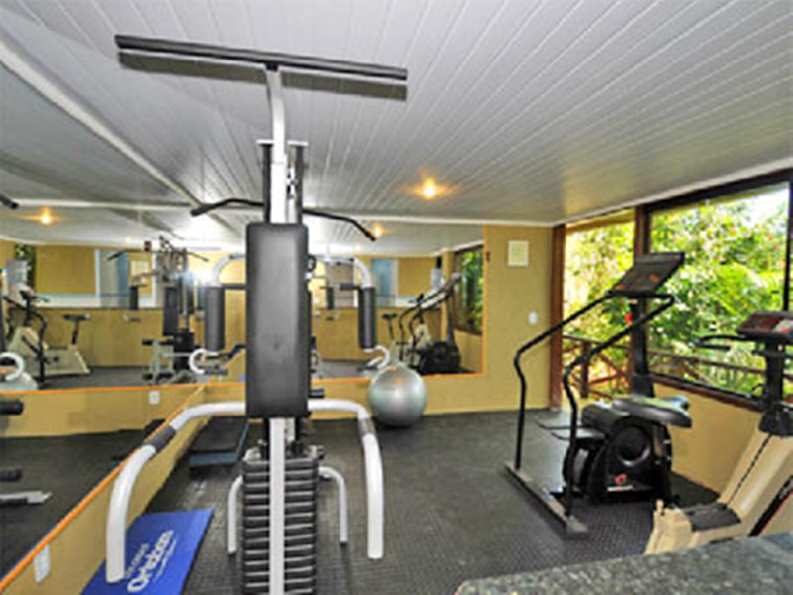 Sport
