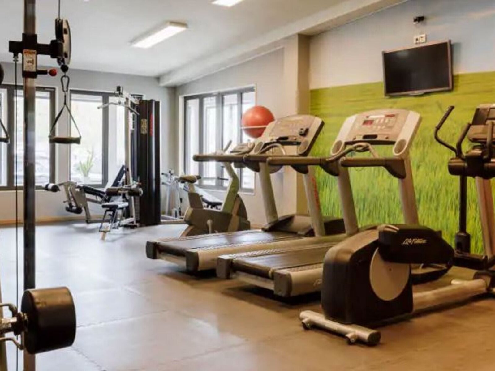 Sport