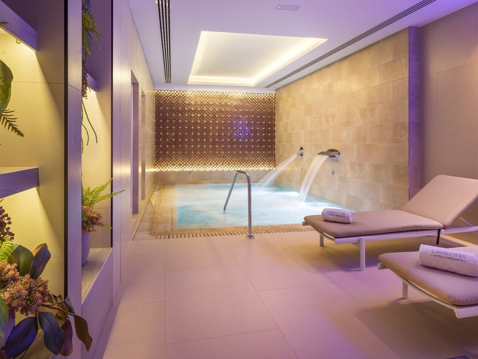 Wellness