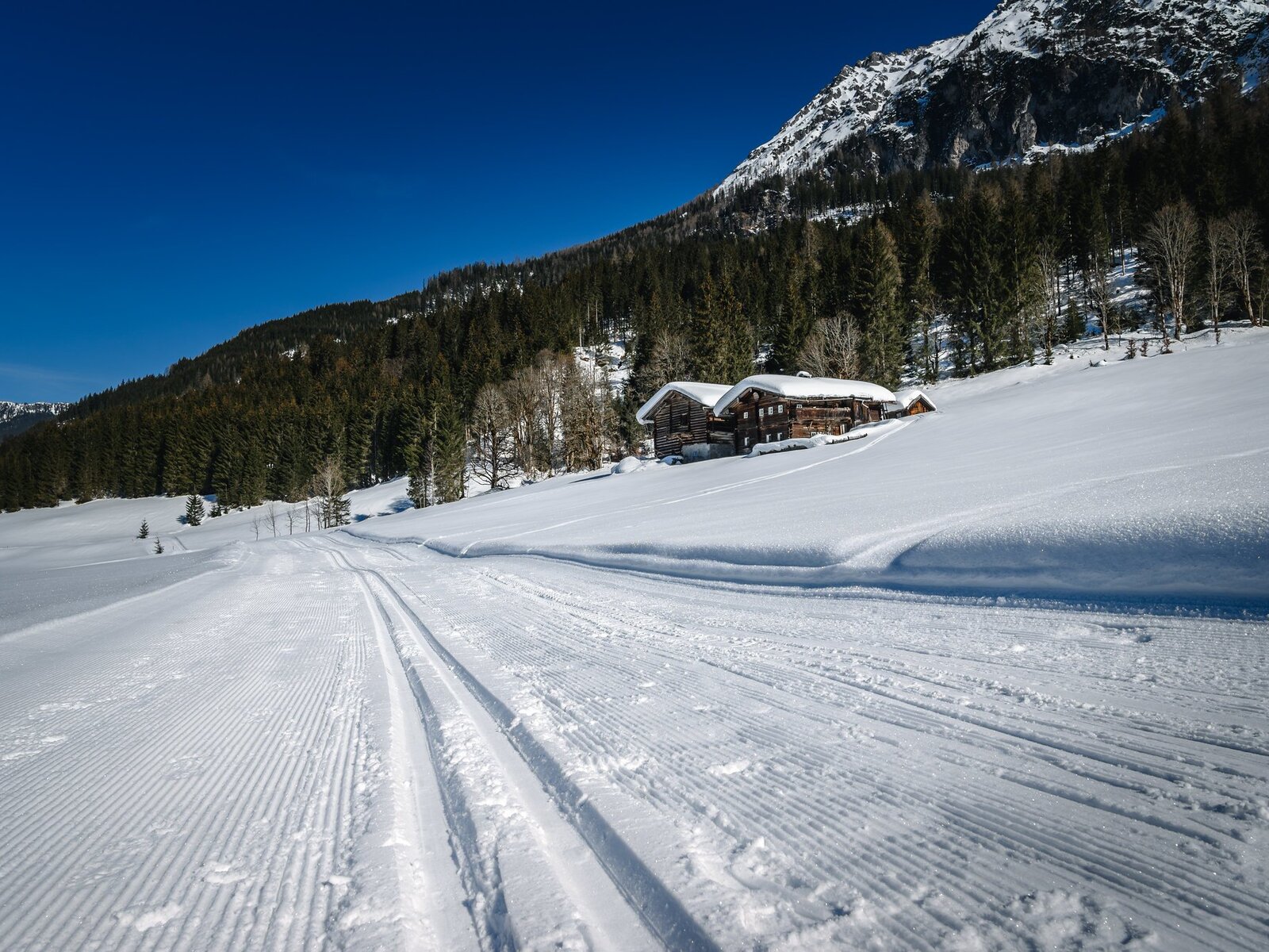Wintersport