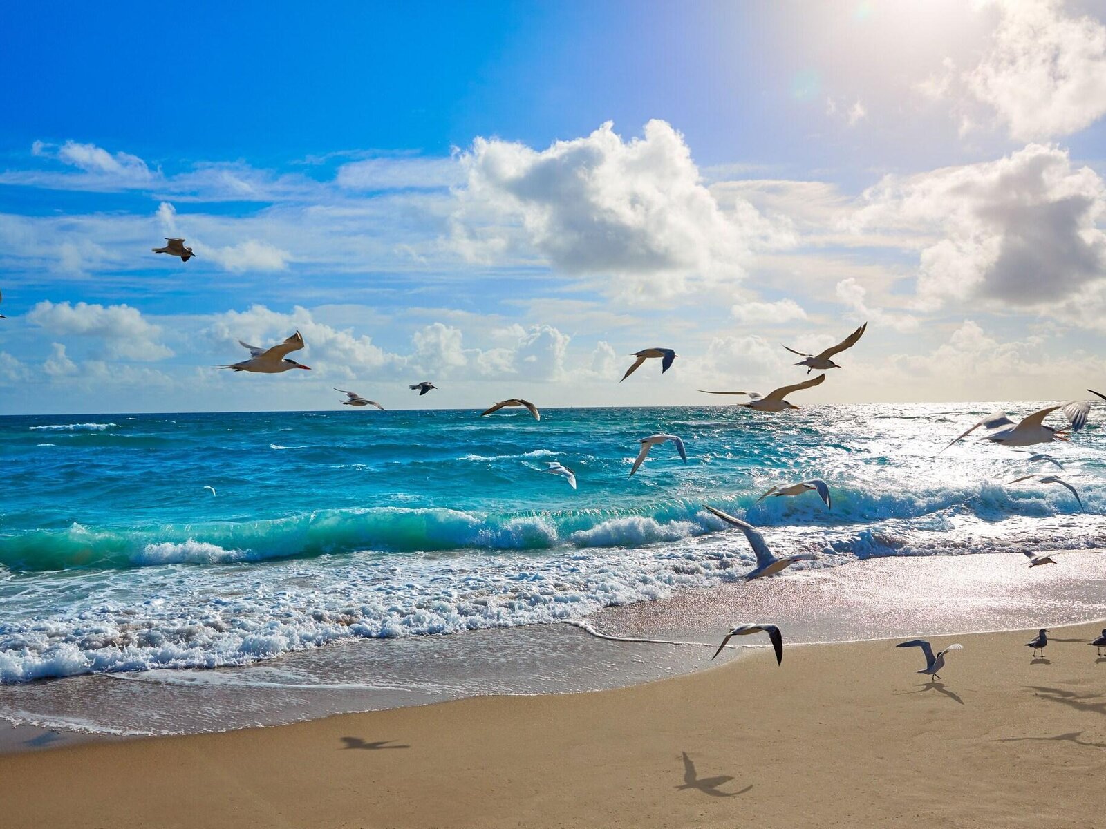 Strand