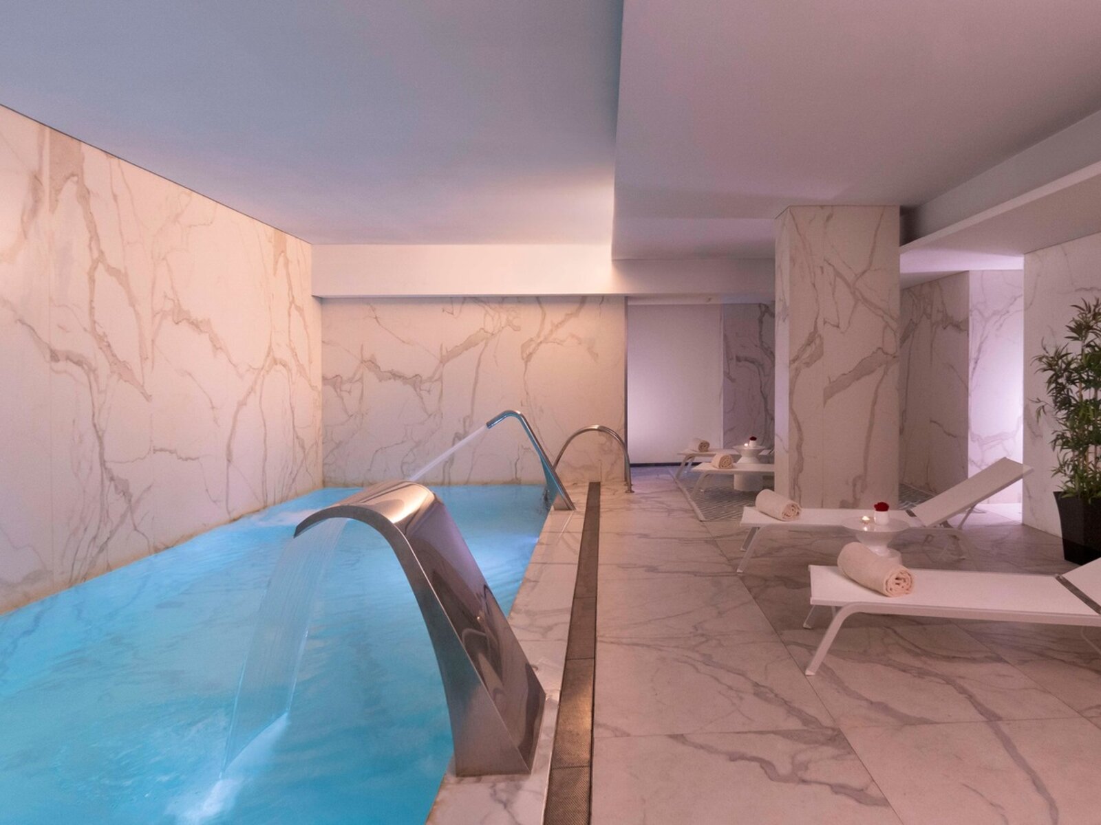 Wellness