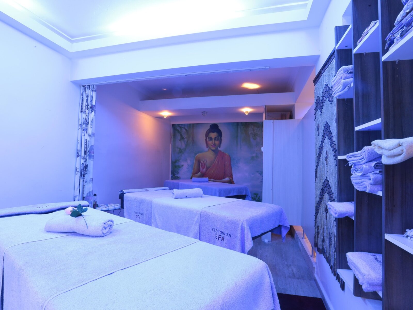 Wellness