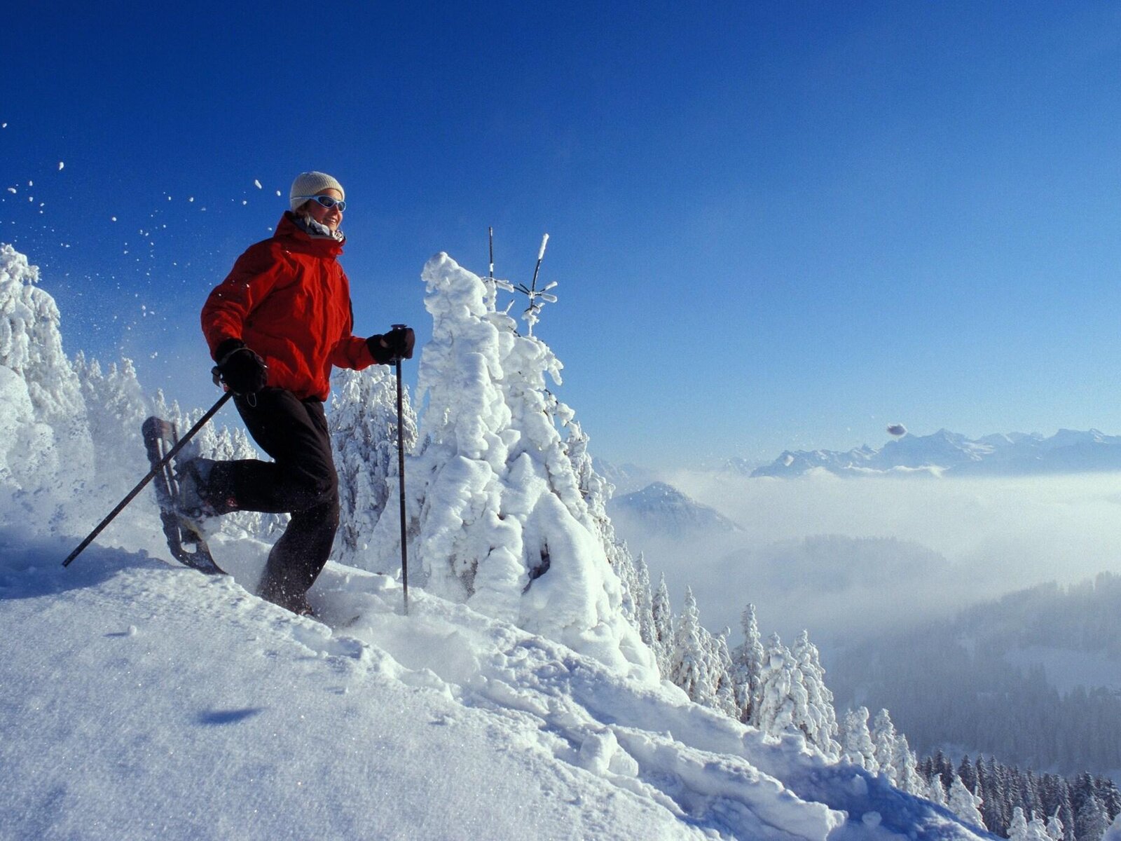 Wintersport