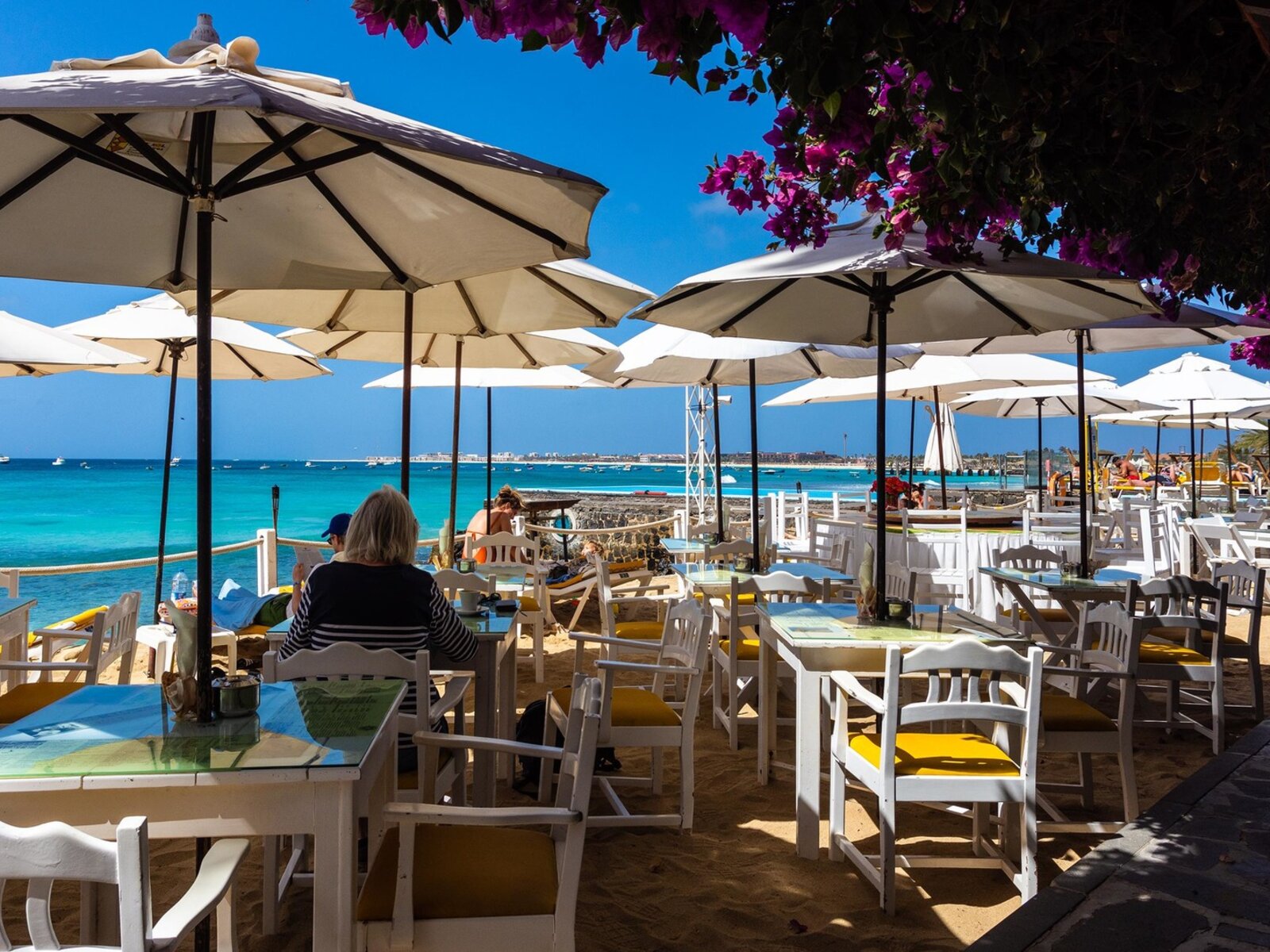 Damfjord Beach Bar