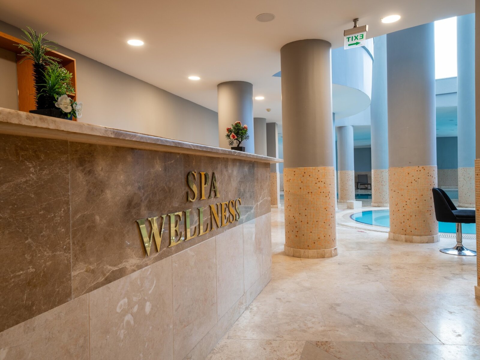 Wellness