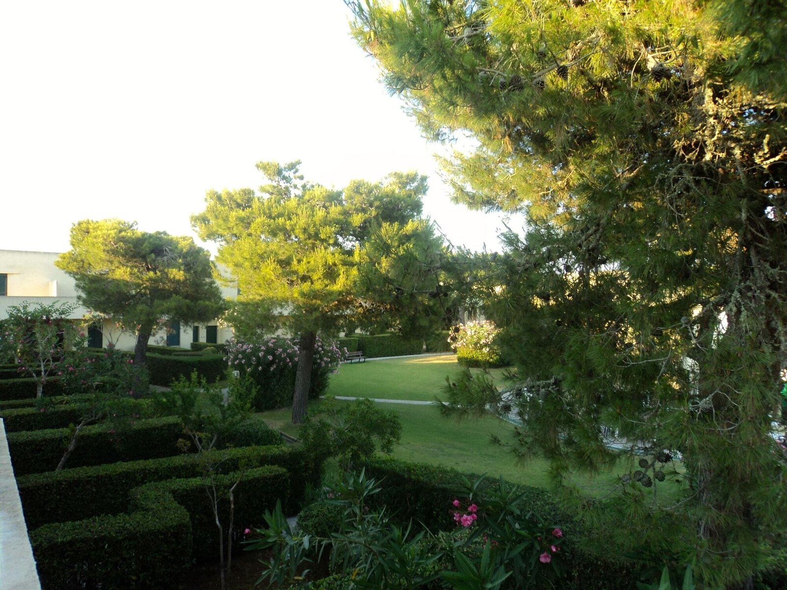 Landschaft