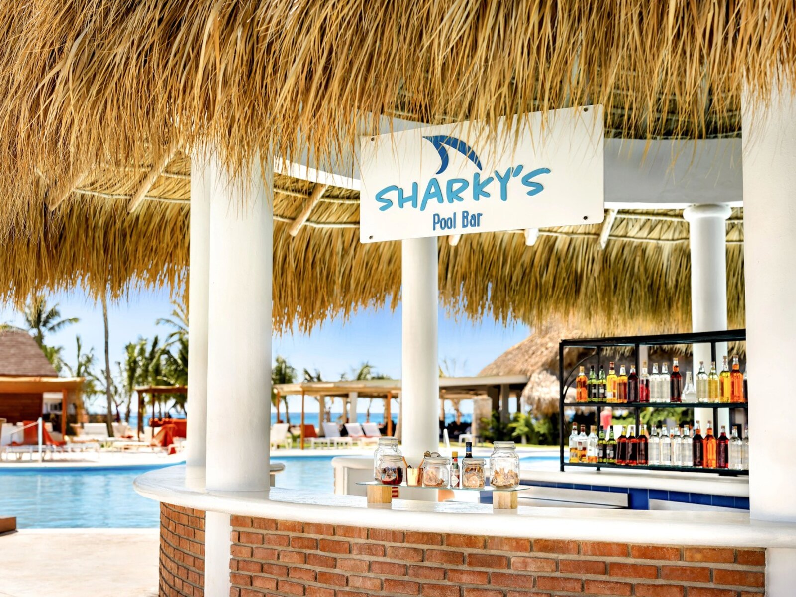 Sharky's