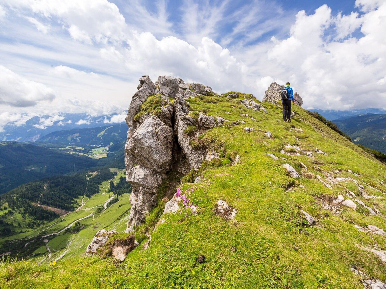 Landschaft