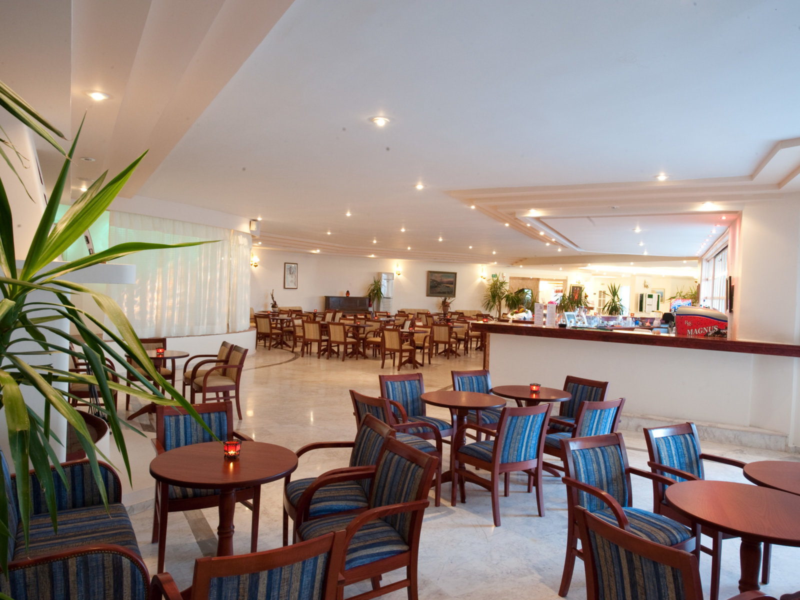 Main Bar