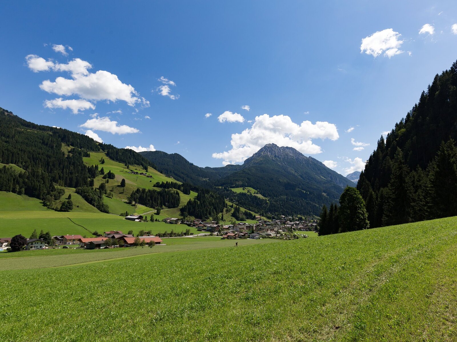 Landschaft