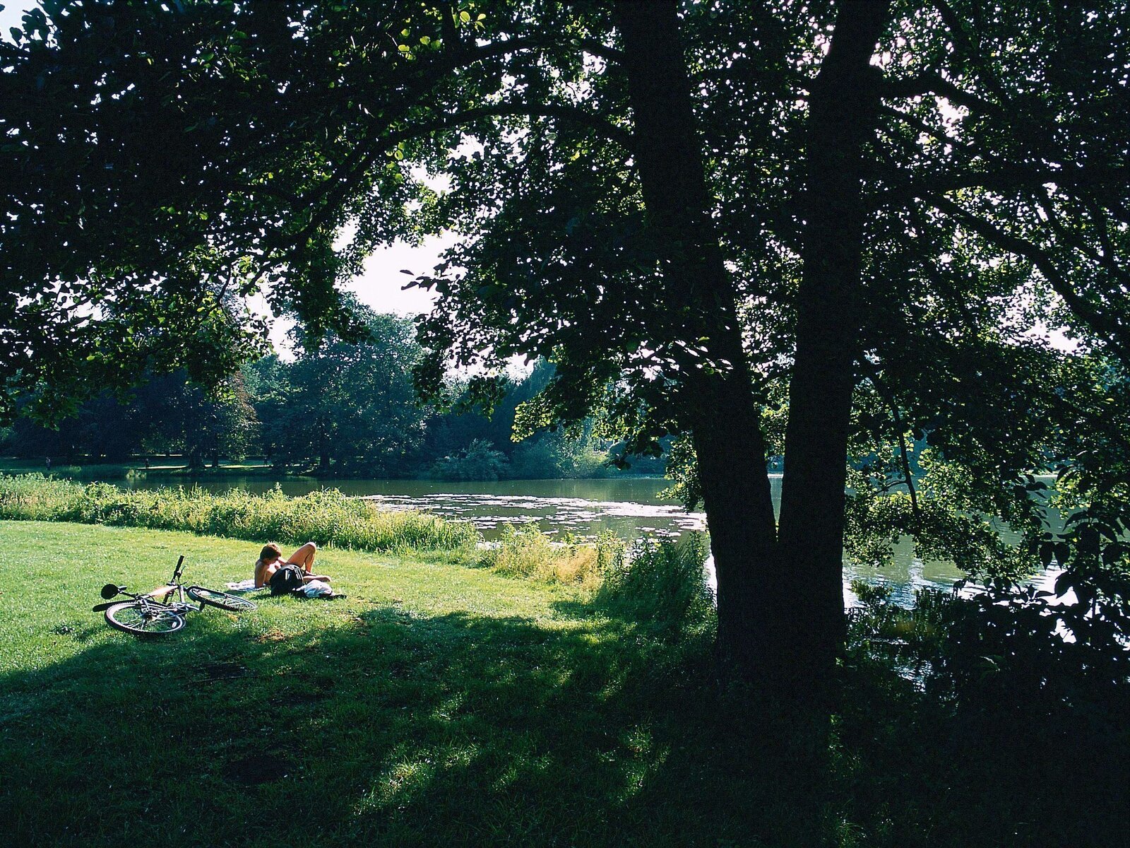 Landschaft