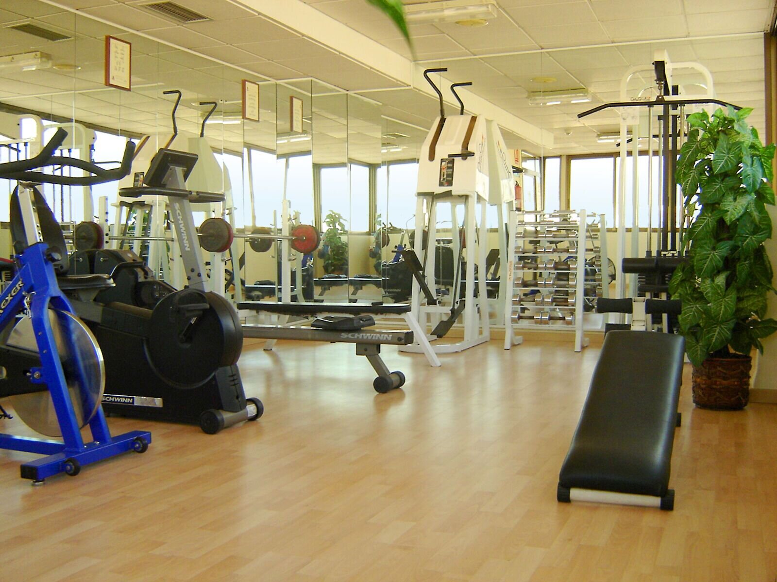 Sport
