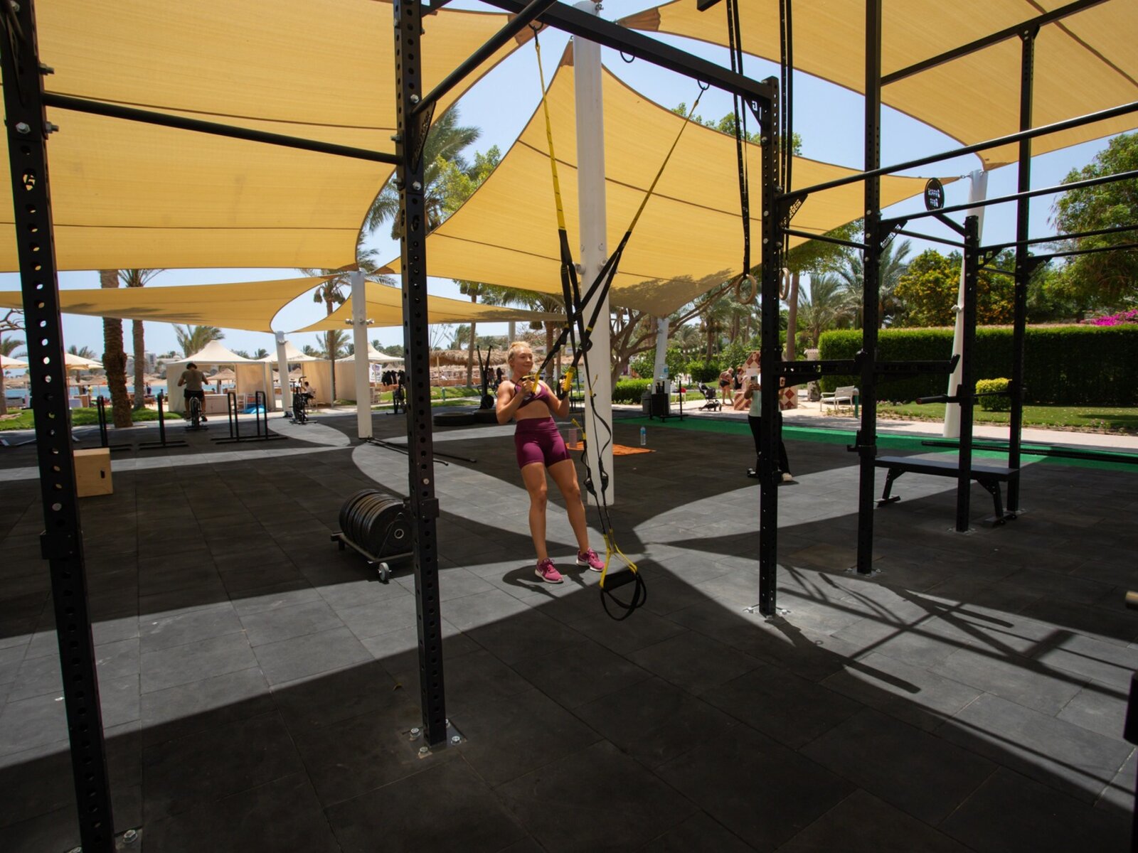 Sport