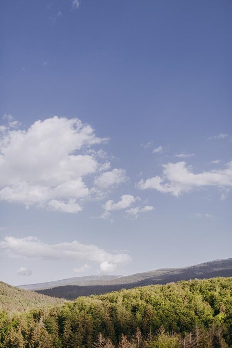 Landschaft