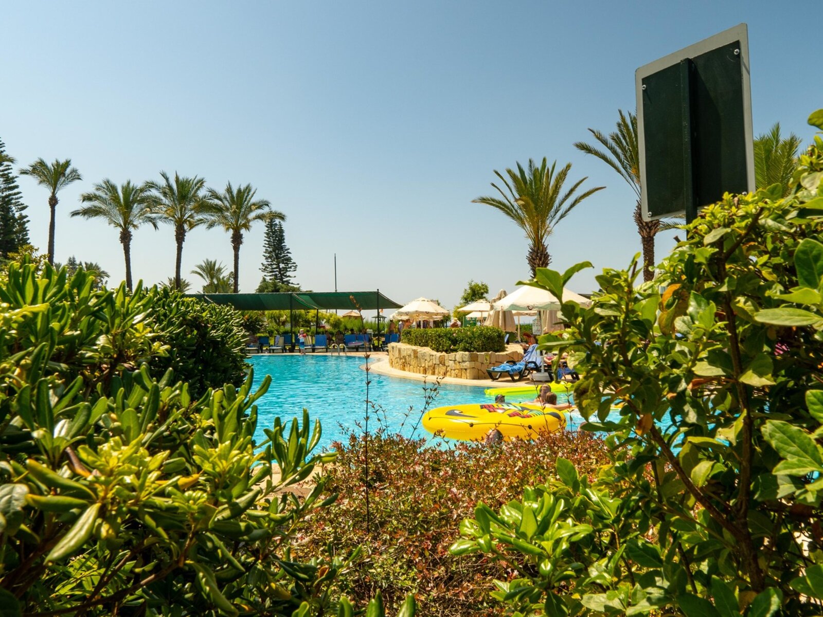 MAIN POOL
