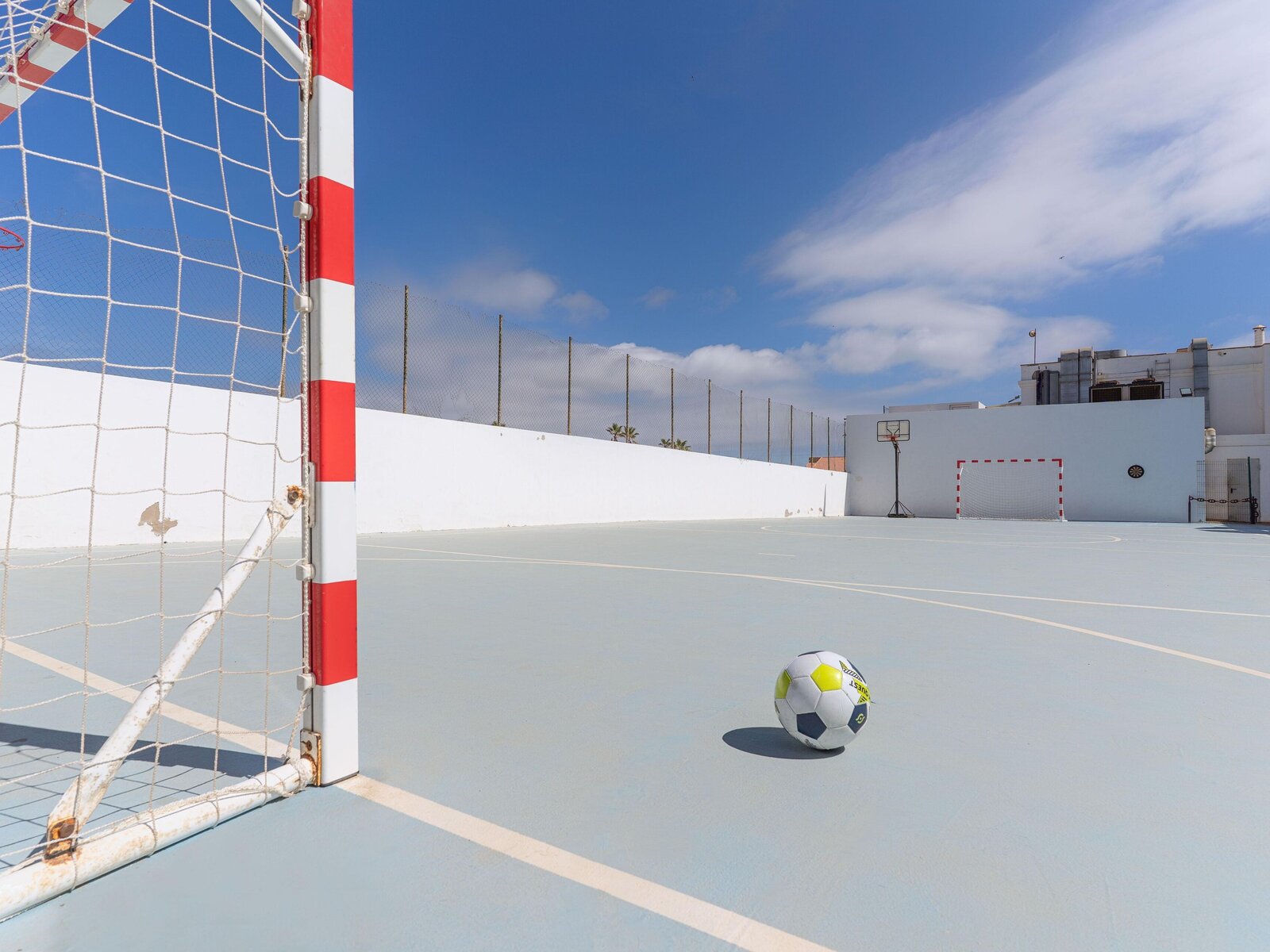 Sport