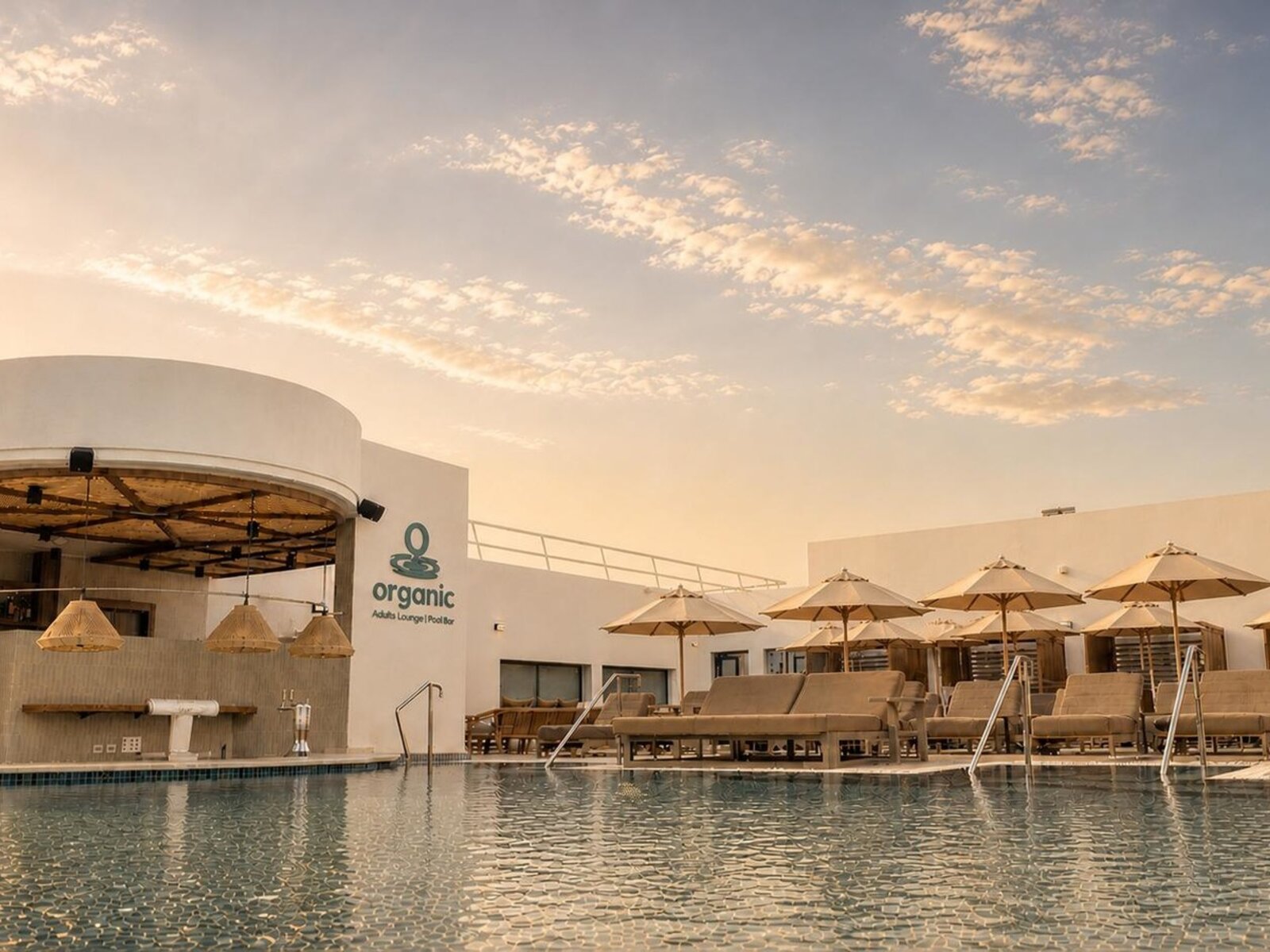 Organic Adults In Pool Bar