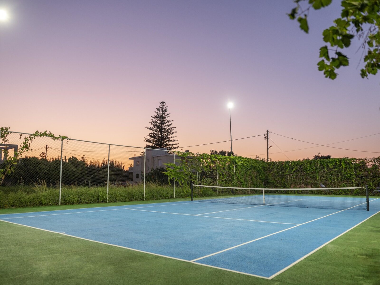 Sport