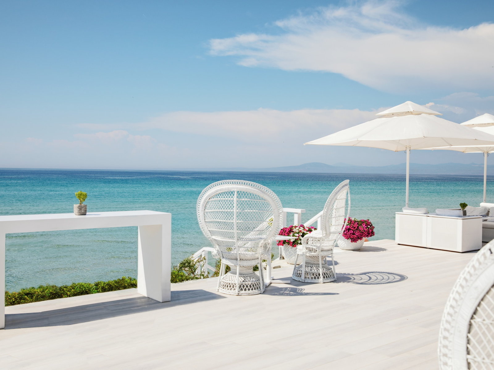 Suniy qinni sikadi Suniy qinni sikadi