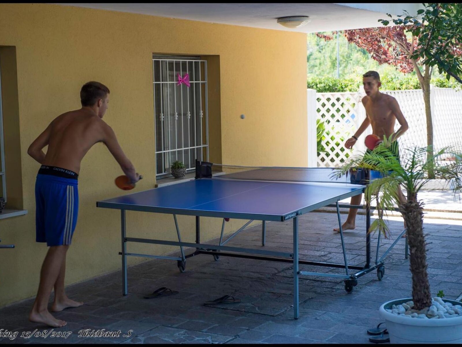 Sport