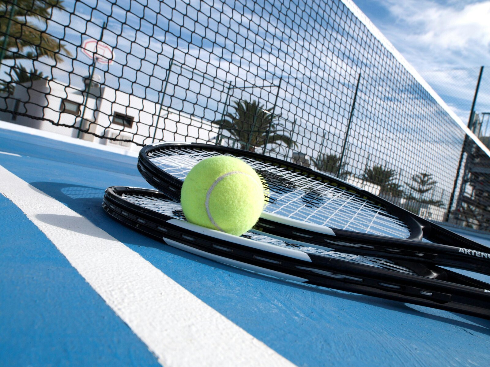 Sport