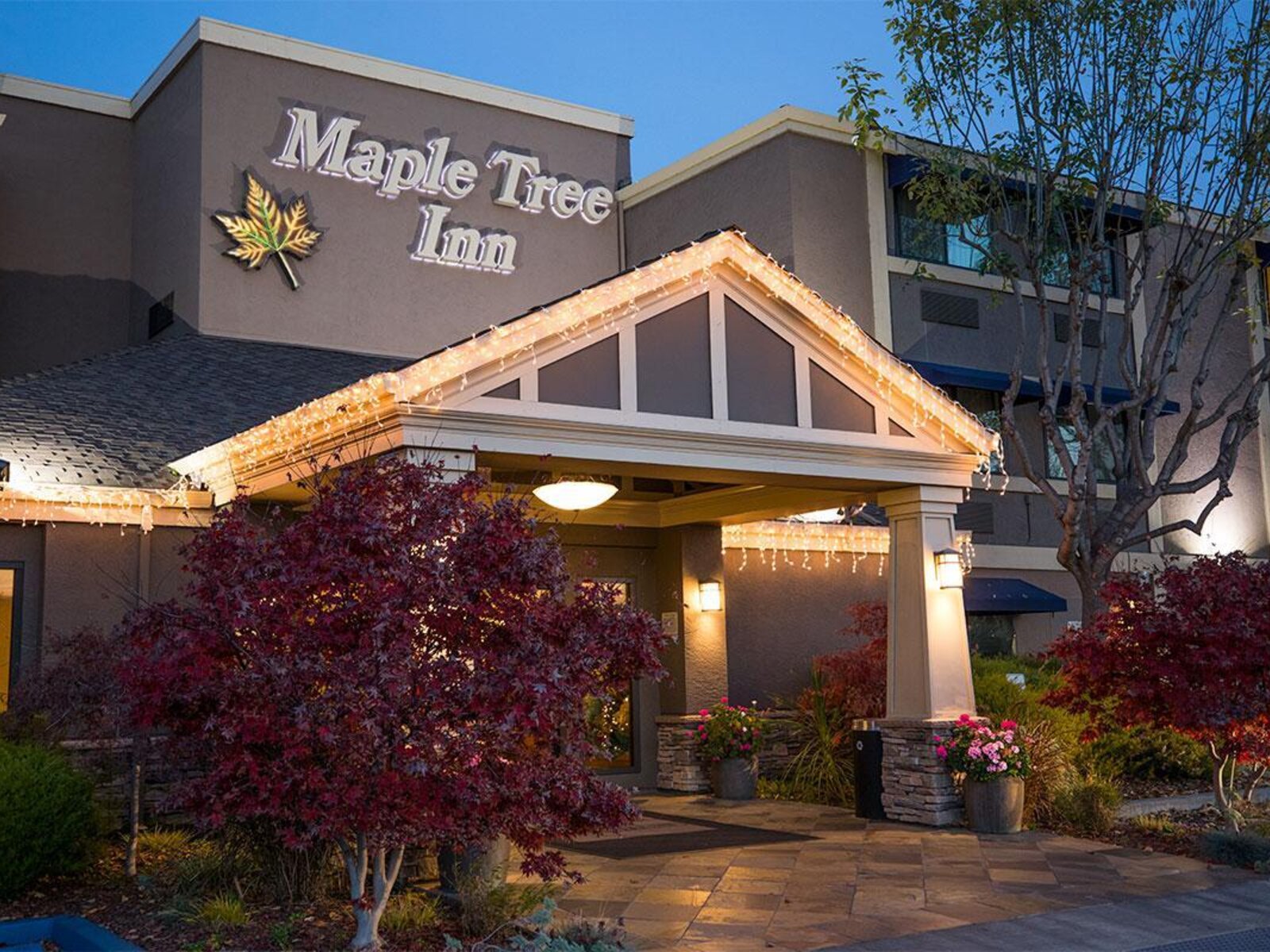 Sun Tree Inn Hotel Maple Tree Inn in Sunnyvale günstig buchen bei TUI.com