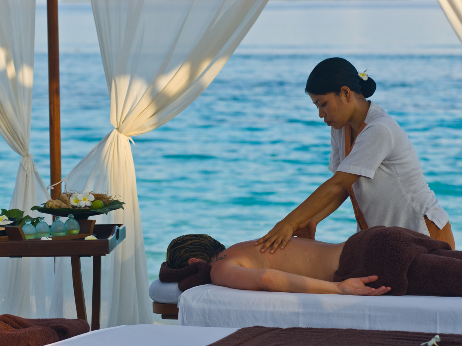 Wellness