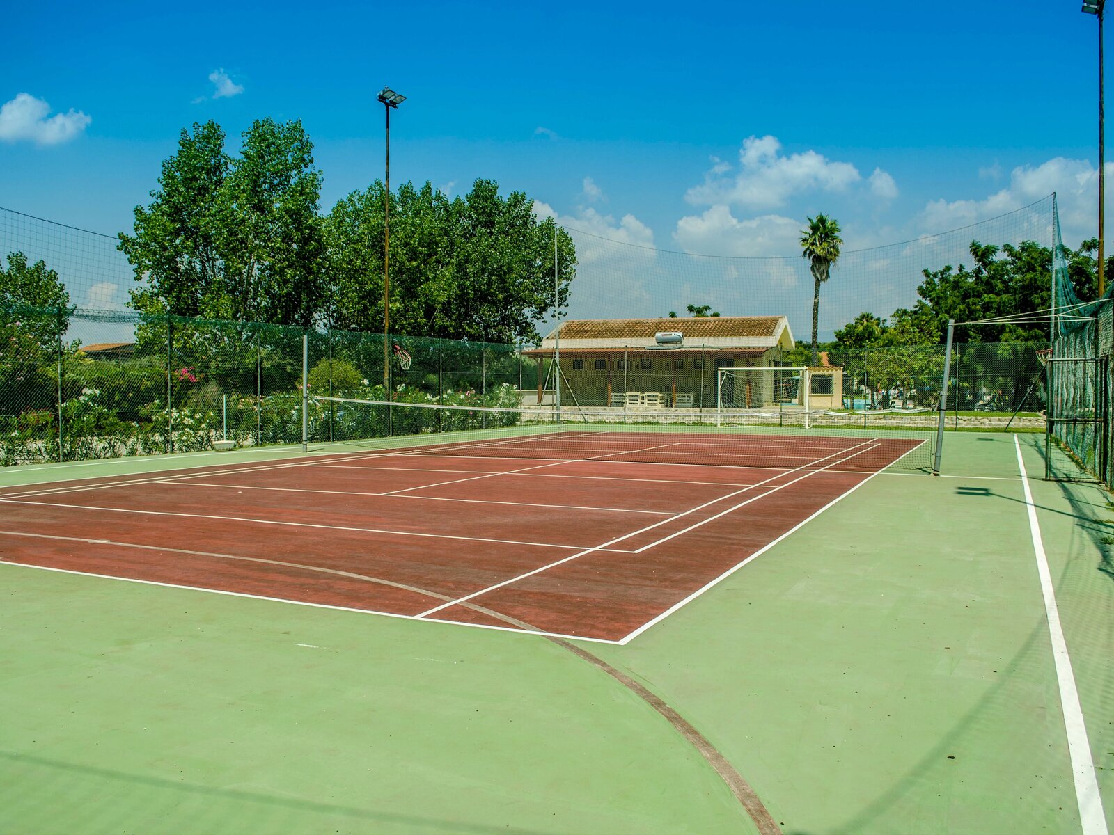 Sport