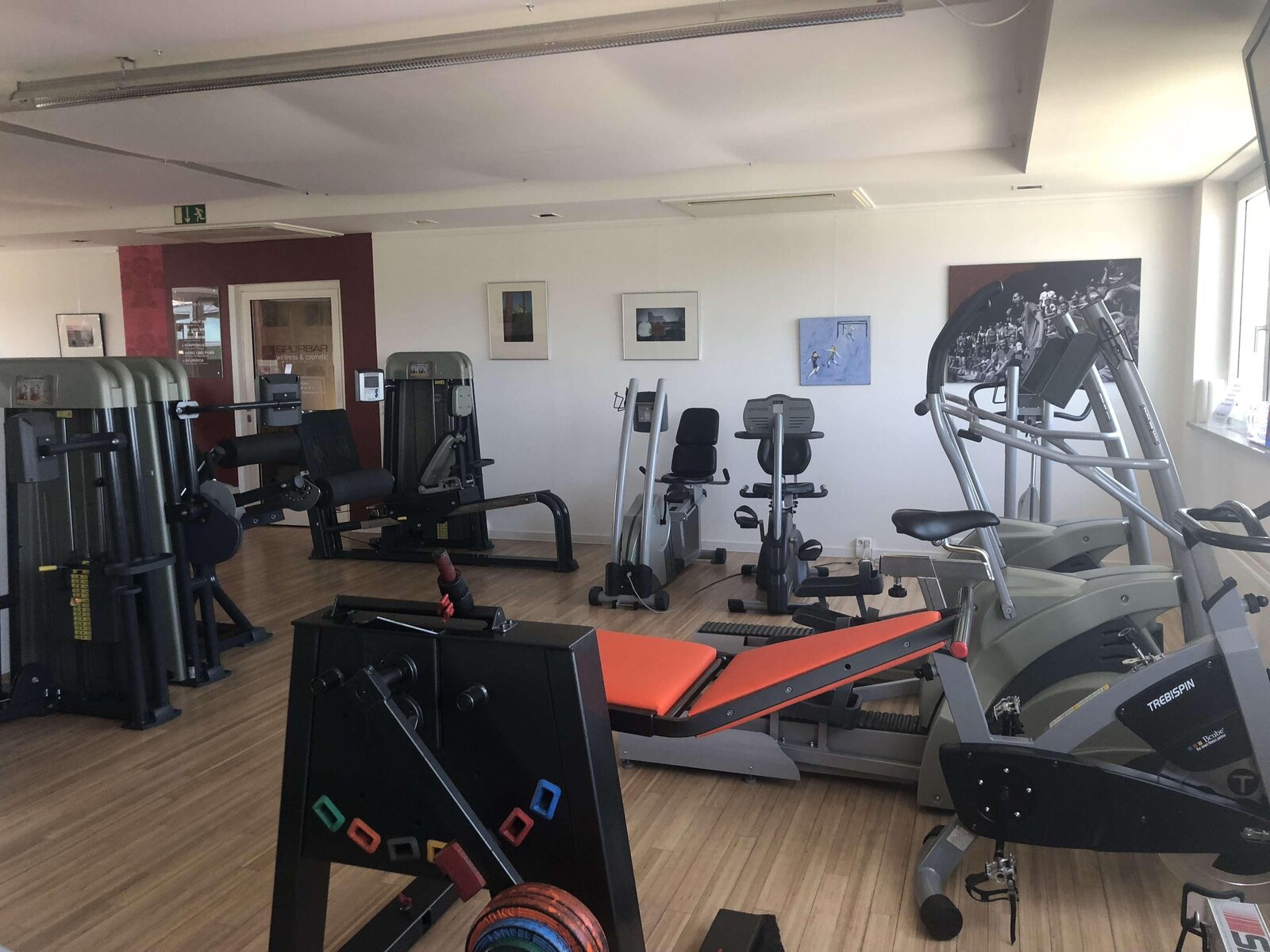 Sport