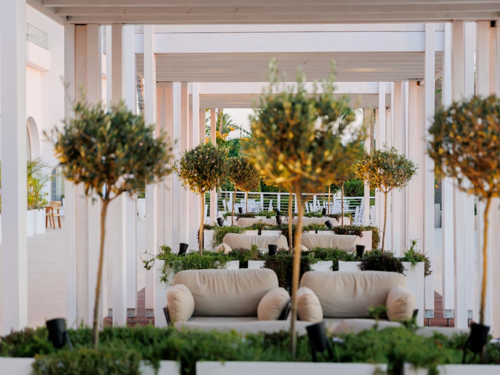 Hesperides Bar