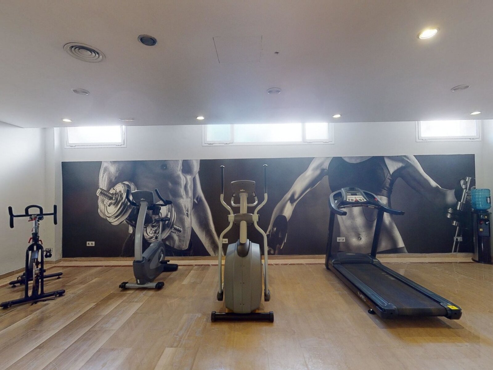 Sport