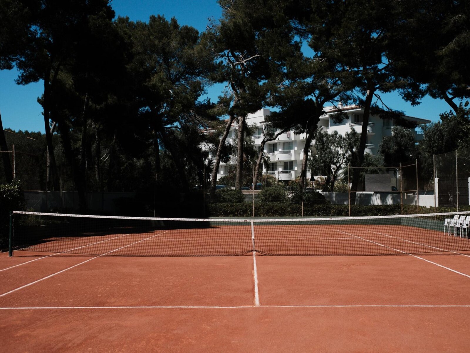 Sport