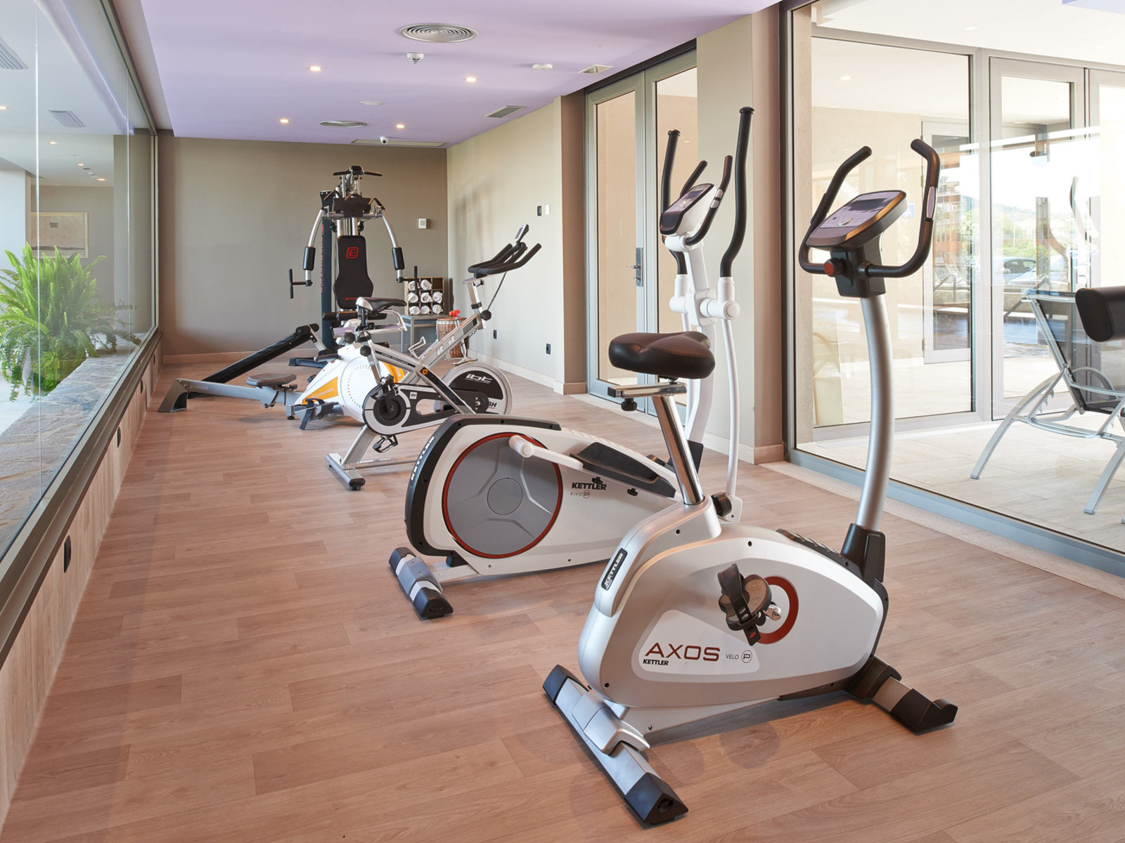 Sport