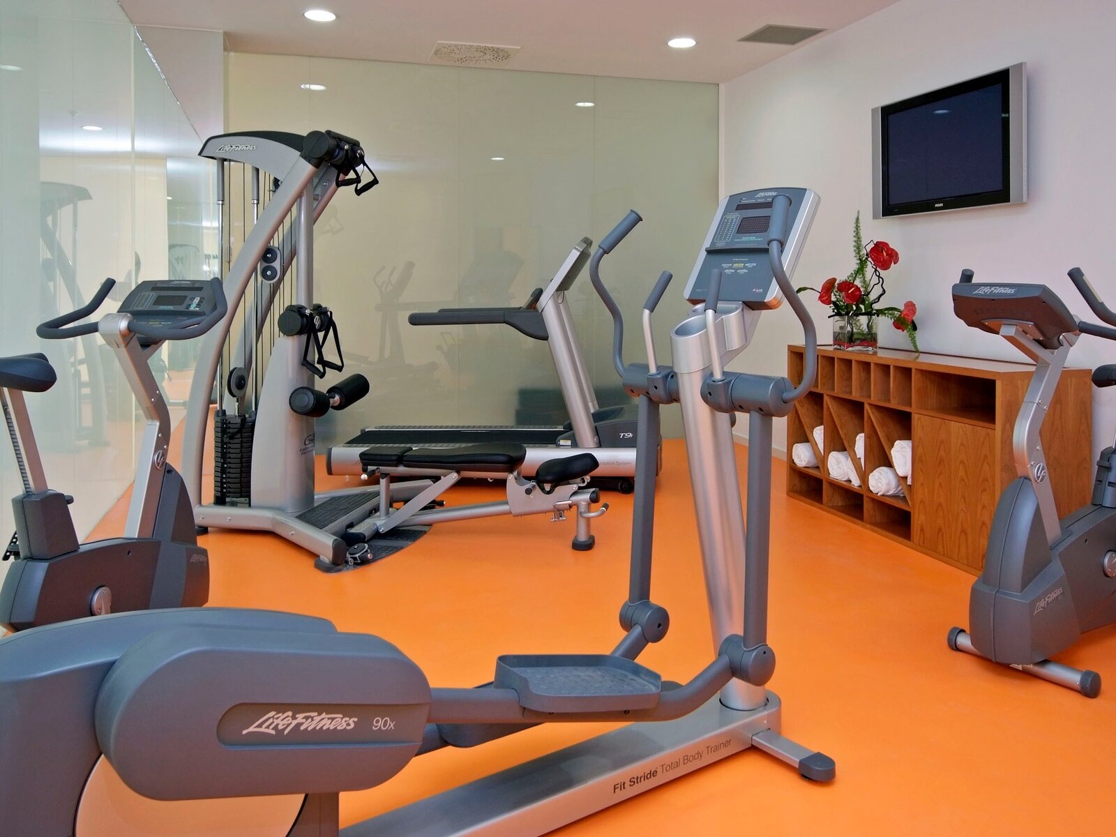 Sport