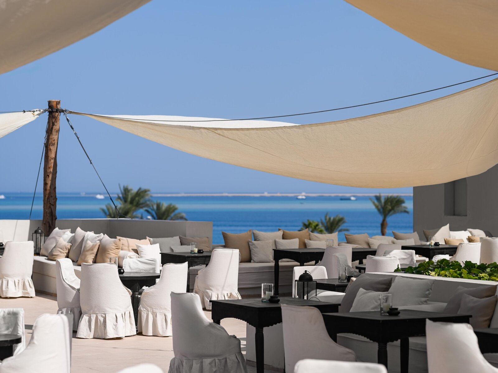 The Rooftop Terrace